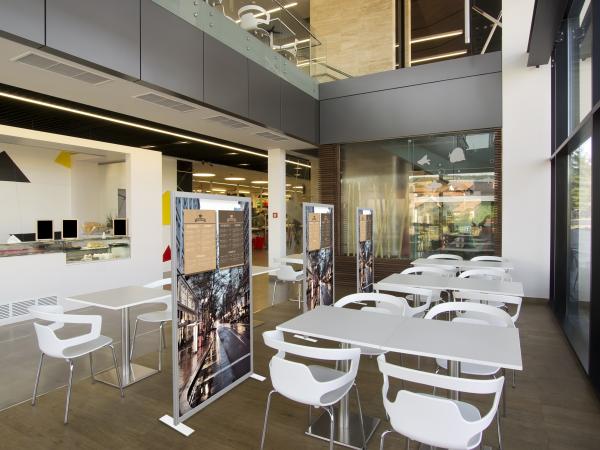 Safety Divider w/ Optional Printed Graphic